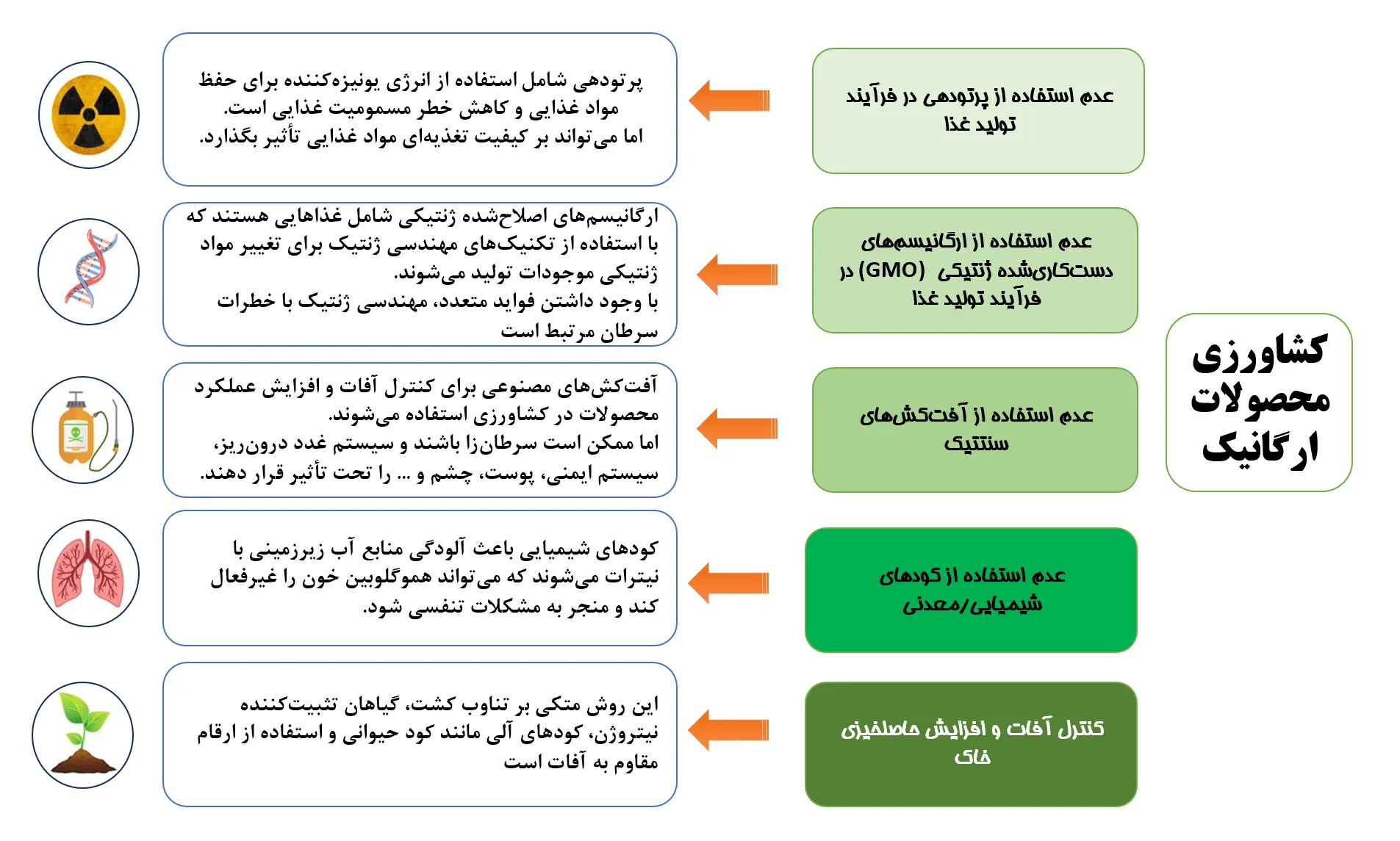 تحلیل جامع غذاهای ارگانیک 6 2025 11 16 155108