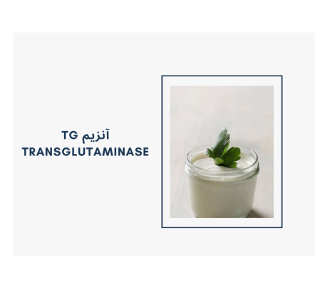 فروش ترنس گلوتامیناز TG با قیمت مناسب و توافقی