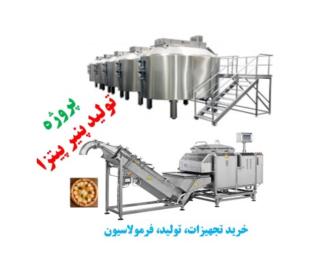 پروژه مشاوره ای تولید پنیر پیتزا
