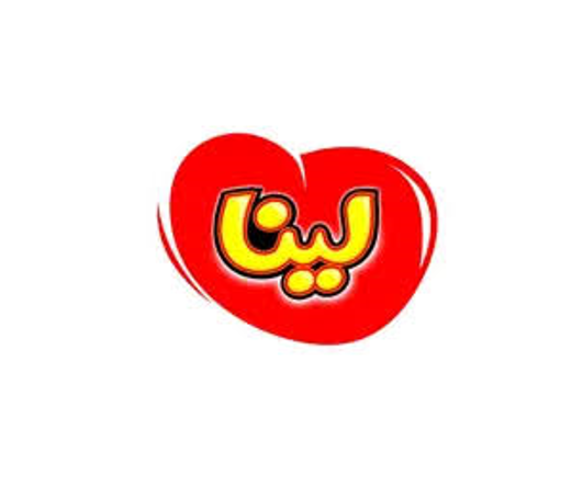 گروه صنعتی لینا