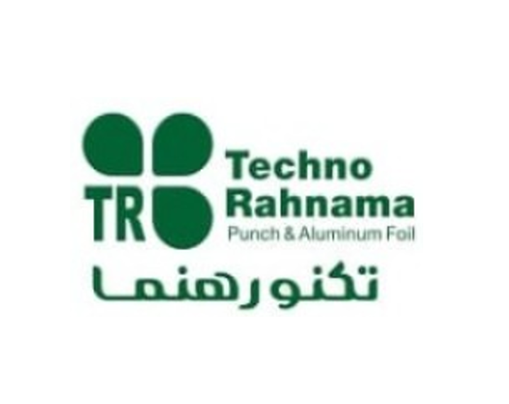پیشگام بنیان رهنما(تکنو رهنما)