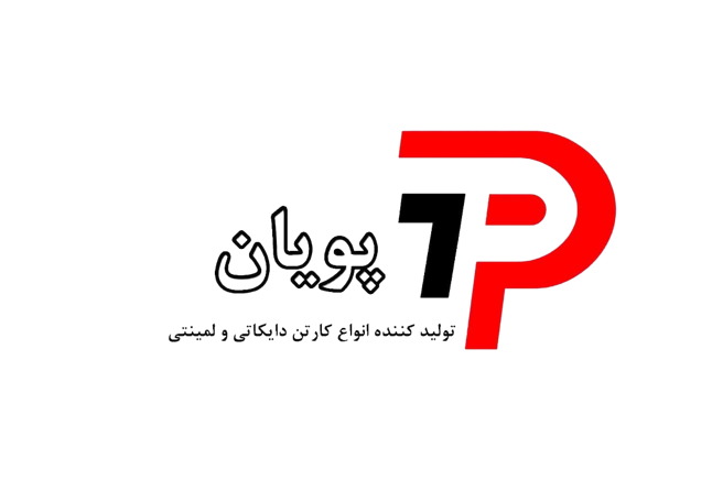 کارتن سازی پویان