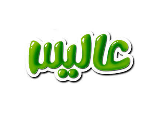 هلدینگ عالیس