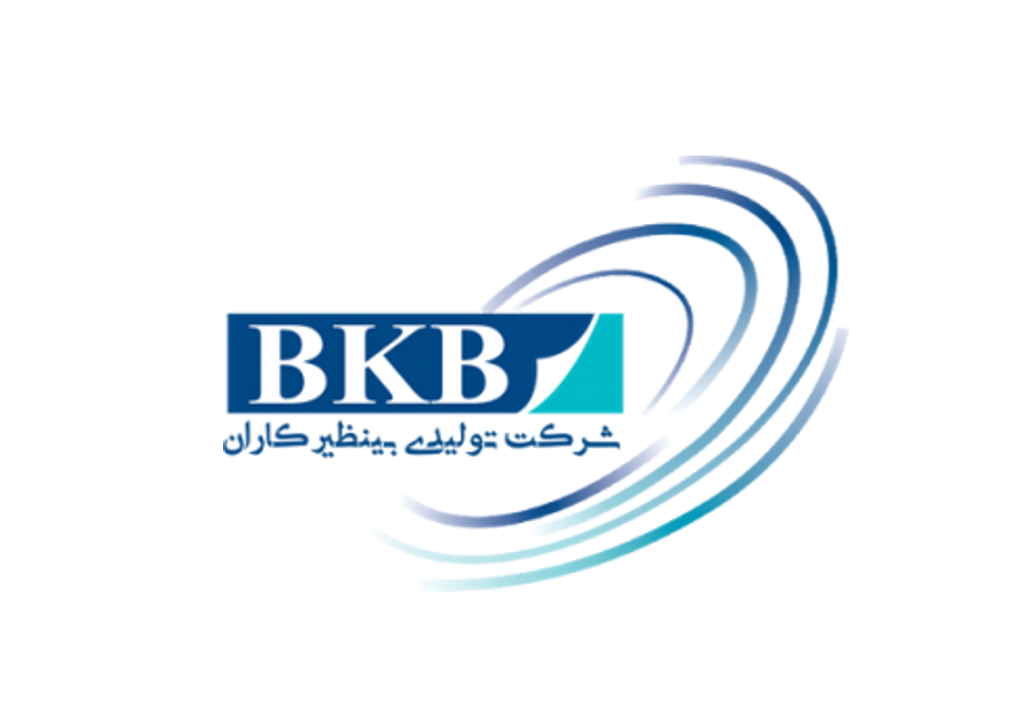 شرکت بی نظیرکاران